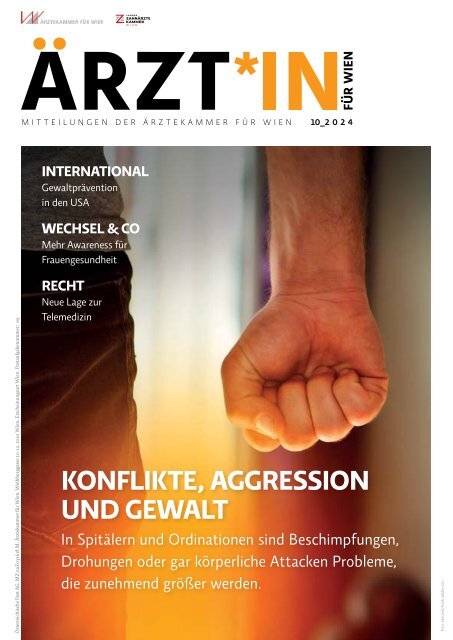 aerztin fuer wien cover